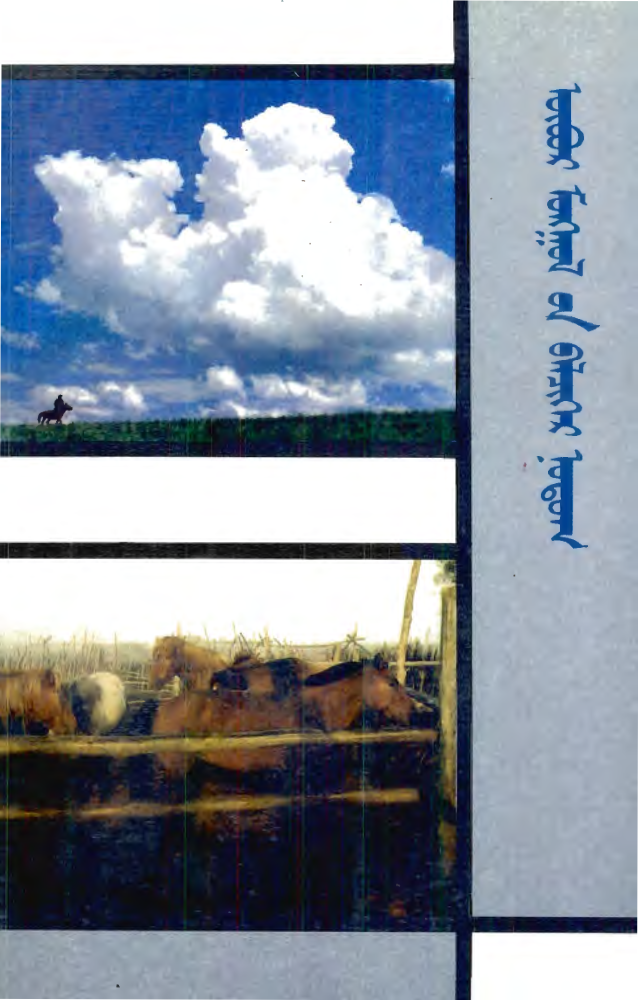 ᠥᠪᠦᠷ ᠮᠣᠩᠭᠣᠯ᠎ᠤᠨ ᠪᠡᠯᠴᠢᠭᠡᠷ ᠨᠤᠲᠤᠭ