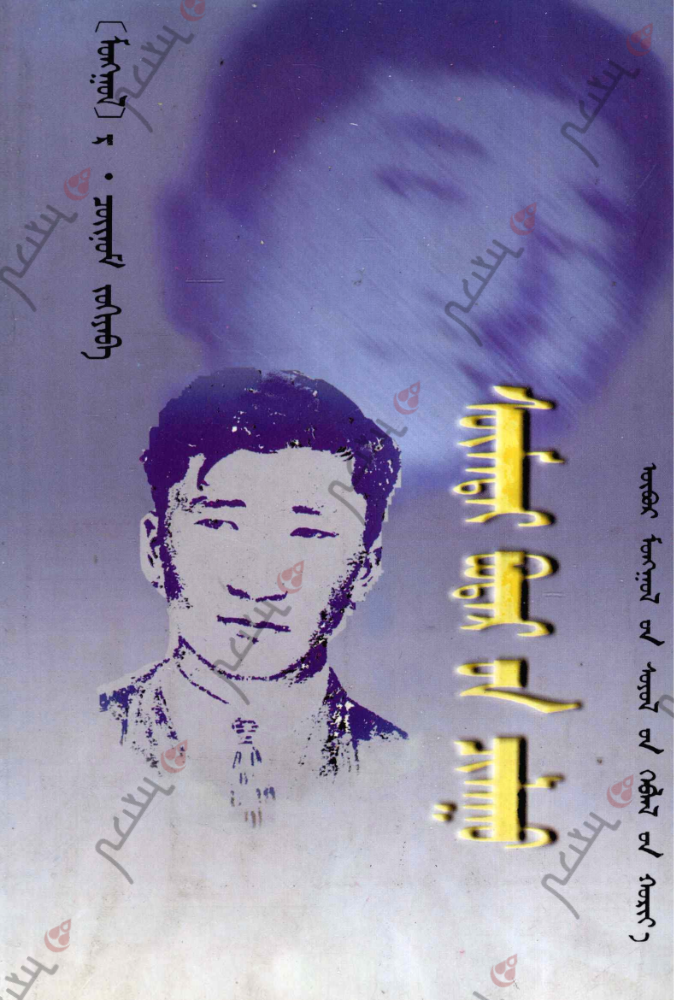 ᠰᠦᠮᠡᠲᠡᠢ ᠪᠣᠲᠠᠷ᠎ᠤᠨ ᠴᠢᠯᠠᠭᠤ