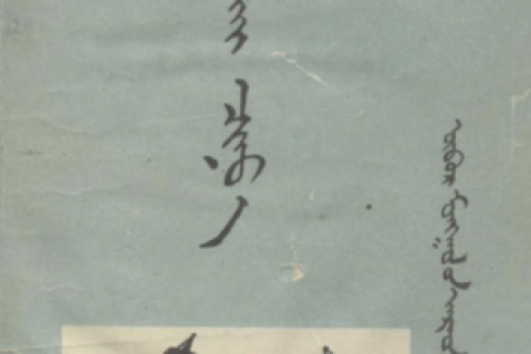 《戴帽子的狼》
