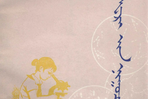 《细菌的秘密》